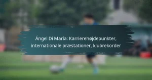 Ángel Di María: Karrierehøjdepunkter, internationale præstationer, klubrekorder