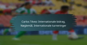 Carlos Tévez: Internationale bidrag, Nøglemål, Internationale turneringer