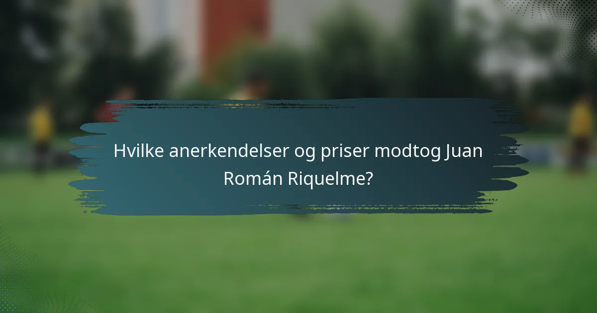 Hvilke anerkendelser og priser modtog Juan Román Riquelme?