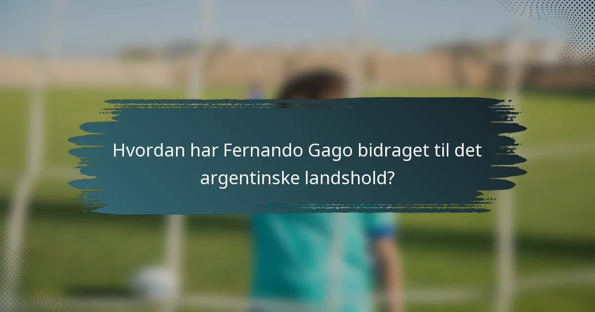 Hvordan har Fernando Gago bidraget til det argentinske landshold?